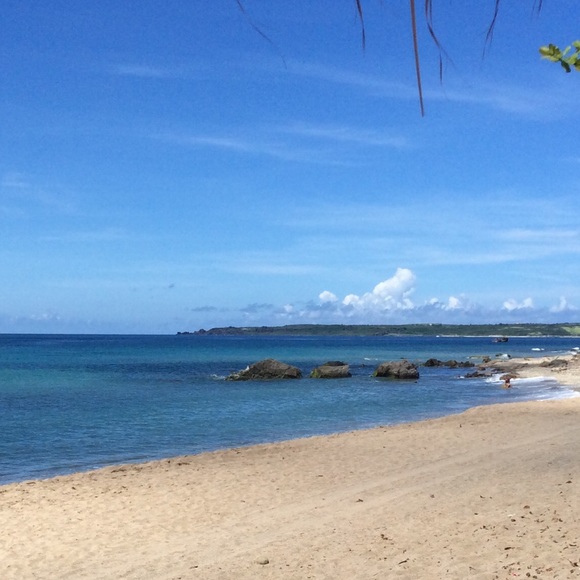 Meet the Posher Other - Meet your Posher, Chia ming